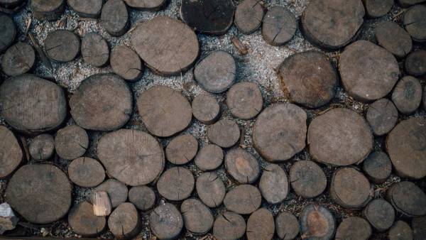 股权投资中的回购权条款