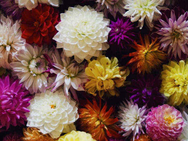 股权投资中的优先清算权条款